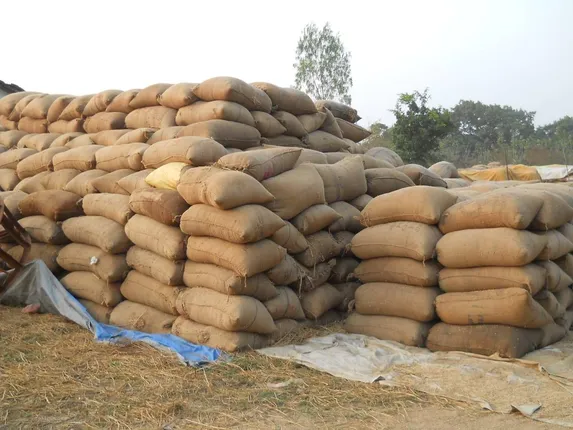 ନୂଆପଡ଼ା ଜିଲ୍ଲାରେ ଧାନକିଣା ଆରମ୍ଭରୁ ଅବ୍ୟବସ୍ଥା: ୨ ଦିନ ହେବ ଧାନକିଣା ବନ୍ଦ, ଟୋକନ ପାଇଥିବା ଚାଷୀଙ୍କ ମଧ୍ୟରେ ଅସନ୍ତୋଷ