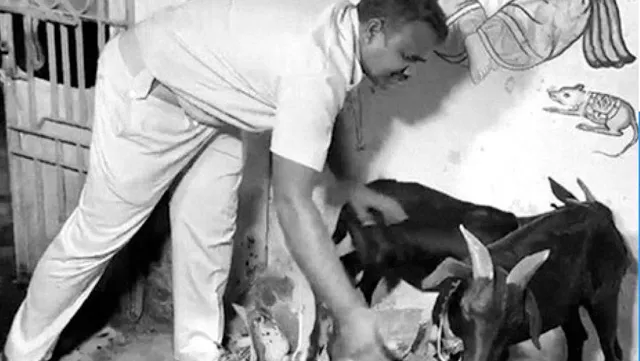 ଚିନ୍ମୟ ଚେତନା: ଛେଳିଙ୍କ ‘ଅଚ୍ଛେ ଦିନ’