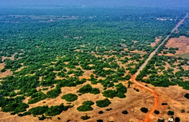 ଶ୍ରୀଜଗନ୍ନାଥ ଅନ୍ତର୍ଜାତୀୟ ବିମାନବନ୍ଦର: ୨୭ ଏକର ଜମିକୁ ଜଙ୍ଗଲ ଓ ପରିବେଶ ମନ୍ତ୍ରାଳୟ ଅନୁମତି