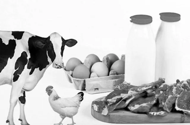 ଦର୍ପଣ: କ୍ଷୀର, ଅଣ୍ଡା, ମାଂସ ଓ ଉଲ୍‌ ଉତ୍ପାଦନ
