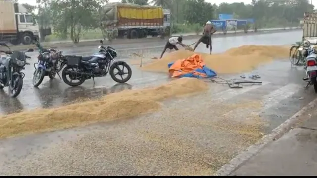 ରାଜପଥରେ ଧାନ ଛାଡ଼ିଗଲା ଚାଷୀ