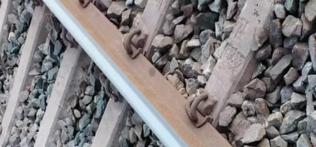 ସଇଁତଲା ଷ୍ଟେସନ ନିକଟରେ ରେଳ ଧାରଣାରେ ଯୁବକର ମୃତଦେହ