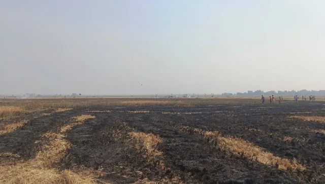 ଯାଜପୁର ଜିଲ୍ଲାରେ ଅଘଟଣ: ଜଳିଗଲା ପାଚିଲା ଧାନଖେତ