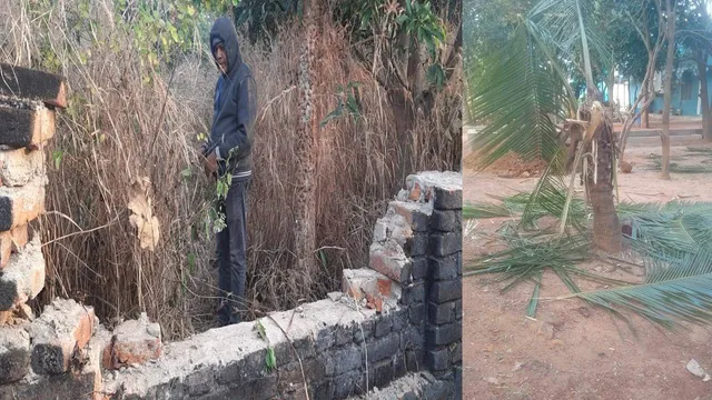 ପାଚେରୀ ଭାଙ୍ଗି ହାତୀପଲ ପଶିଲେ, କଦଳୀ ଖାଇଲେ