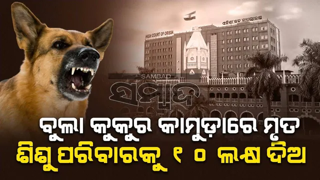 ବୁଲା କୁକୁର କାମୁଡ଼ାରେ ମୃତ ଶିଶୁ ପରିବାରକୁ ୧୦ ଲକ୍ଷ କ୍ଷତିପୂରଣ ଦେବାକୁ ଓଡ଼ିଶା ଉଚ୍ଚ ନ୍ୟାୟାଳୟଙ୍କ ନିର୍ଦ୍ଦେଶ