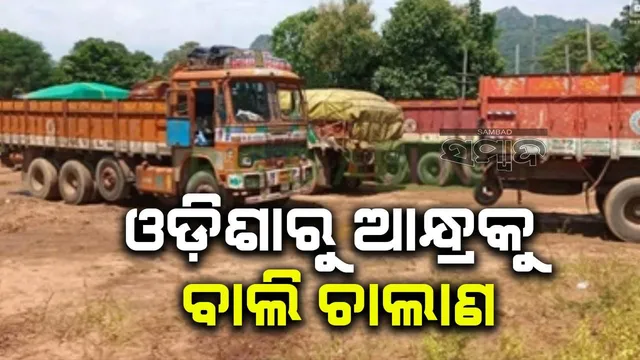 ରାୟଗଡ଼ାରୁ ଆନ୍ଧ୍ରକୁ ବେଆଇନ୍‌ ବାଲି ଚାଲାଣ; ୭ଟି ଟିପ୍ପର ଓ ଟ୍ରକ୍‌ ଜବତ, ୭ ଲକ୍ଷ ଜରିମାନା