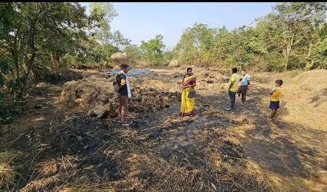 ଧାନଖଳାରେ ଭୟାବହ ଅଗ୍ନିକାଣ୍ଡ: ଚାଷୀଙ୍କ ବ୍ୟାପକ ଫସଲ ନଷ୍ଟ