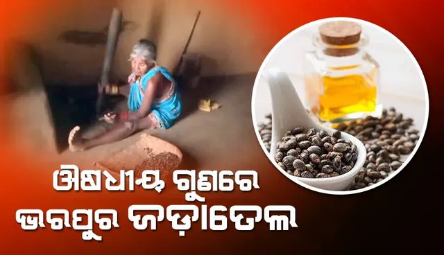 ଜଡ଼ାତେଲରେ ରହିଛି ଭରପୁର ଔଷଧୀୟ ଗୁଣ; ଆଣ୍ଠୁଗଣ୍ଠି ବାତରୋଗକୁ କରିଥାଏ ଆରୋଗ୍ୟ