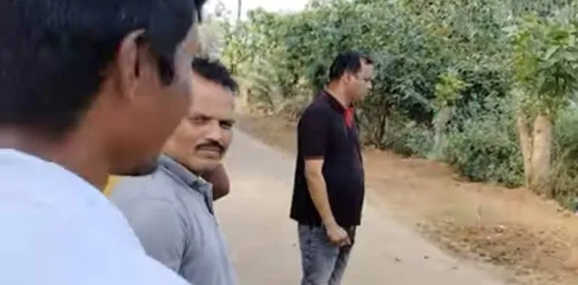 ଗୁଡ଼ାରିରେ ବାଘ ଆତଙ୍କ; ବାଛୁରୀକୁ ମାରି ଖାଇଲା, ରାତି ହେଲେ ଘୁରି ବୁଲୁଛି