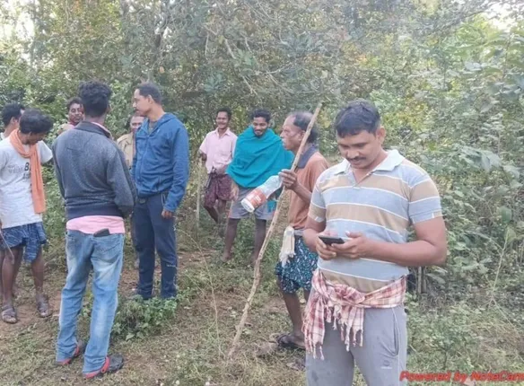 ରାୟଗଡ଼ାରେ ବୁଲୁଛି ବାଘ; ଟେର ପାଉନି ବନ ବିଭାଗ, ଲୋକେ ଆତଙ୍କିତ