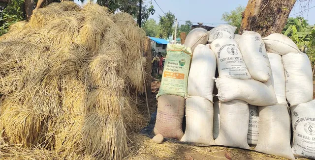 ମଣ୍ଡି ଖୋଲିବା ଆଗରୁ ବୋହିନେଲେ ବେପାରୀ: ସର୍ବାଧିକ ୫୦ କୁଇଣ୍ଟାଲ ଧାନକିଣା ନିୟମକୁ ନେଇ ଅସନ୍ତୋଷ