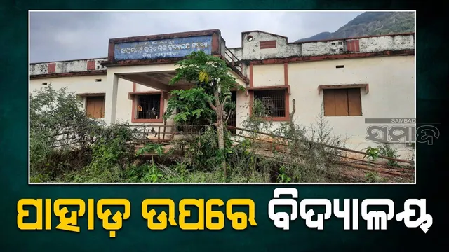 ପାହାଡ଼ ଉପରେ ଶିକ୍ଷା: ସ୍କୁଲ ପରିସରରେ ଦିନ ବେଳା ବିଚରଣ କରୁଛନ୍ତି ସାପ ଓ ଜଂଗଲି ଜନ୍ତୁ