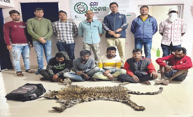 କଲରାପତରିଆ ବାଘଛାଲ ଜବତ, ୬ ଗିରଫ