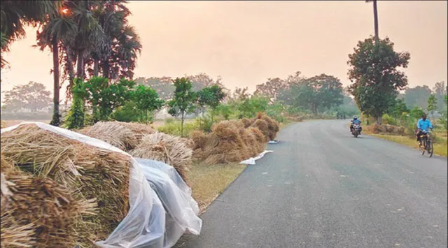 ରାଜପଥ ପାଲଟିଛି ଚାଷୀଙ୍କ ଧାନଖଳା: ନଡ଼ା ଜାଳି ପରିବେଶ ପ୍ରଦୂଷଣ