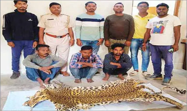 ଆଣ୍ଟି ପୋଚିଂ ସ୍କ୍ବାଡ୍‌ର ଚଢ଼ଉ: ବାଘଛାଲ ଜବତ, ୩ ଗିରଫ