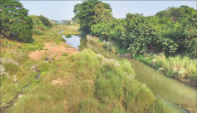 ହଜିଯିବ ଲୋହରାଖଣ୍ଡି ନଦୀ: କାଶତଣ୍ଡି ଜଙ୍ଗଲରେ ପୋତି ହୋଇଗଲାଣି ଶଯ୍ୟା