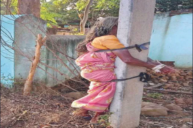 ବାଡ଼ିରୁ କୋବି ତୋଳିବାରୁ ମା’ଙ୍କୁ ବିଦ୍ୟୁତ୍‌ ଖୁଣ୍ଟରେ ବାନ୍ଧି ପିଟିଲା ପୁଅ