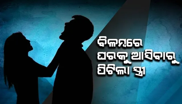 ସବୁବେଳେ ମାଡ଼ ମାରୁଥିଲେ ପତ୍ନୀ, ସିସିଟିଭି ଲଗାଇ ପ୍ରମାଣ ‌ଯୋଗାଡ଼ କଲେ ସ୍ବାମୀ