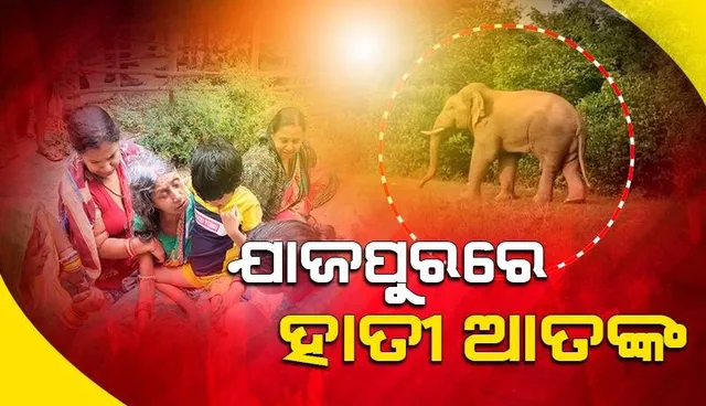 ଶୌଚ ପାଇଁ ଯିବା ବେଳେ ବୃଦ୍ଧଙ୍କୁ ଦଳିଦେଲା ହାତୀ, ଦୁଇ ଦିନରେ ନେଲାଣି ଦୁଇଟି ଜୀବନ