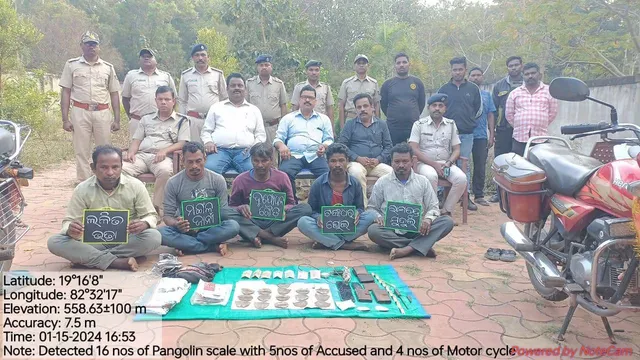 ବଜ୍ରାକାପ୍ତା କାତି ଡିଲ୍‌ ବେଳେ ଆତର୍କିତ ଚଢ଼ଉ; ୫ ଗିରଫ