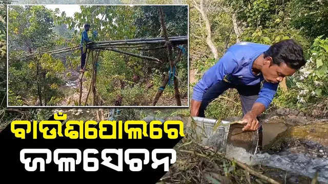 ଉପାନ୍ତ ଅଞ୍ଚଳରେ ଜଳସେଚନ ବ୍ୟବସ୍ଥା: ପାହାଡ଼ରୁ ବାଉଁଶପୋଲ ମାଧ୍ୟମରେ ଜମିକୁ ପାଣି ମଡ଼ାଇଲେ ଚାଷୀ