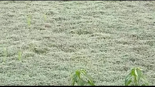 ଶୀତ ଲହରି ଜାରି: ଘୁମୁସର ଉଦୟଗିରିରେ ପାରଦ ଖସୁଛି, ତାପମାତ୍ରା ୬.୨ ଡିଗ୍ରି ରେକର୍ଡ଼