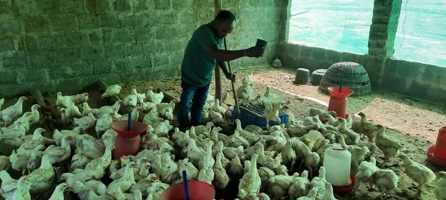 ଭିନ୍ନକ୍ଷମ ହୋଇ ବି ସକ୍ଷମ: କୁକୁଡ଼ା ଓ ପରିବା ଚାଷ କରି ସ୍ବାବଲମ୍ବୀ ହେଲେ ନାଗାର୍ଜୁନ