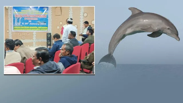 ଜାନୁଆରି ୨୦ରେ ଚିଲିକାରେ ଡଲଫିନ୍‌ ଗଣିବେ ୧୮ଟି ଟିମ୍‌, ଗଣତି ସମୟରେ ବନ୍ଦ ରହିବ ପର୍ଯ୍ୟଟକଙ୍କ ଡଙ୍ଗା