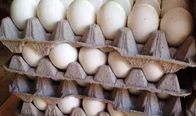 ପୋଷଣଯୁକ୍ତ ଖାଦ୍ୟ ଯୋଜନା ବାଟବଣା: ପିଲାଙ୍କୁ ମିଳୁନି ଅଣ୍ଡା, ଛତୁଆ