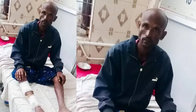 ଶିଆଳ କାମୁଡ଼ାରେ ୮ ଜଣ ଲୋକ ଆହତ