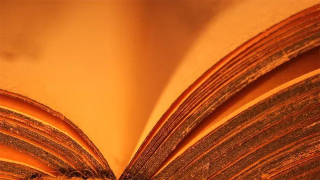 ବହୁବଚନ: ଓଡ଼ିଆ ଜାତୀୟତାର ଜାତକ