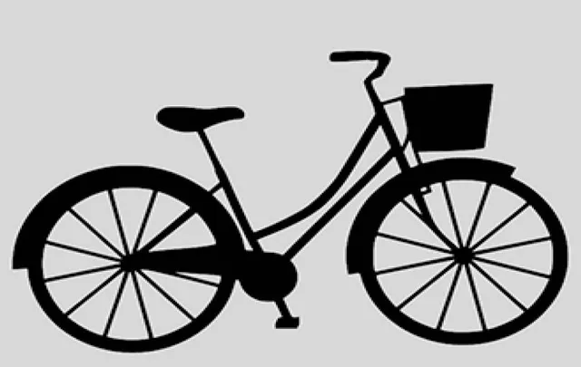 ବଣିଜ ବିଚାର: ସାଇକେଲ ବ୍ୟବସାୟର ରୂପରେଖ