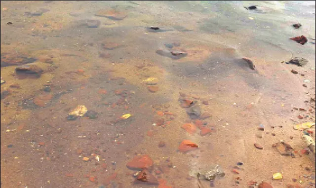 ଇବ୍‌କୂଳରେ ବଢ଼ୁଛି ପ୍ରଦୂଷଣ: ନଦୀ ଓ ତଟବର୍ତ୍ତୀ ବସ୍ତିରେ ଜମୁଛି କଳା ଆସ୍ତରଣ