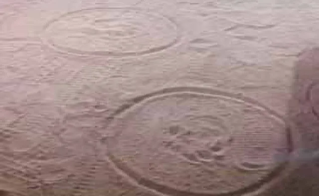 ଲଖନପୁରରେ କଲରାପତରିଆ ଆତଙ୍କ