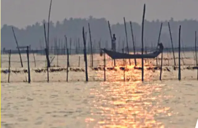 ଆନ୍ଧ୍ର ବେପାରୀଙ୍କ ଜାଲରେ ଫସିଗଲେ: ଉଜୁଡ଼ିଲା ଜୀବିକା,  ୪ ହଜାର ମତ୍ସ୍ୟଜୀବୀ ଏବେ ଦାଦନ