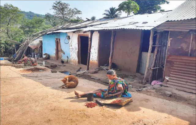 ପାହାଡ଼ଘେରା ଆଦିବାସୀ ଗାଁ ସାନକରଞ୍ଜେଇ: ସଞ୍ଜ ନଇଁଲେ ହାତୀ ଡର, ଦେଢ଼ କିମି ଗଲେ ମୋବାଇଲ୍