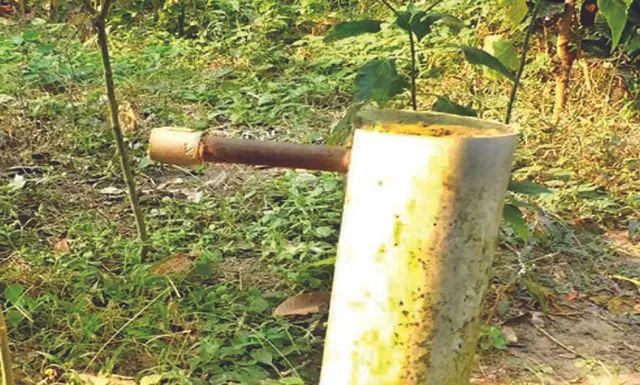 ଶୀତ ଦିନରେ ବି ପାଣି ନାହିଁ: ୪୦ ପରିବାର ପାଣି ପାଇଁ ଦହଗଞ୍ଜ