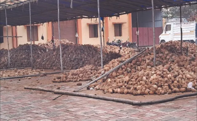 କୋଟିଏ ନଡ଼ିଆକୁ ନାହିଁ ଗୋଟିଏ ଶିଳ୍ପ: ହାତକୁ କାମ ଦେବା ଲାଗି କୁନ୍ଥକୁନ୍ଥ