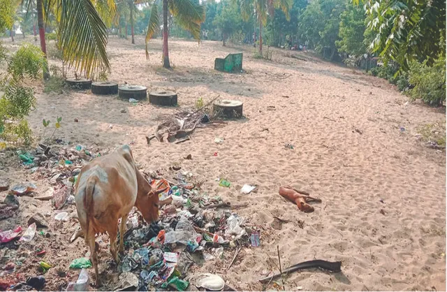 ପ୍ଲାଷ୍ଟିକ୍‌ମୁକ୍ତ ବଣଭୋଜିସ୍ଥଳ ନାମକୁ ମାତ୍ର: ନୋଟିସ୍‌ ହେଲା, ହେଉନି ଅନୁପାଳନ