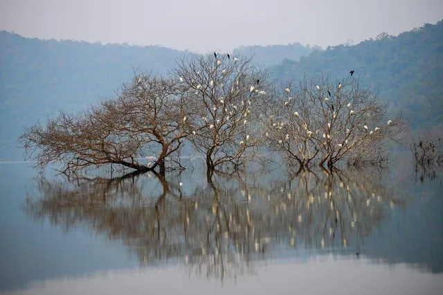 ପର୍ଯ୍ୟଟନର ନୂଆ ସମ୍ଭାବନା ଦରଗୁଡ଼ିଶିଳା, ଆପଣ ଗଲେଣି କି?
