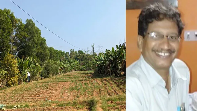 ପଡ଼ିଆ ଜମିକୁ ସବୁଜିମା କଲେ ସୁବୋଧ, ୧୦ଜଣଙ୍କୁ ଦେଲେ ରୋଜଗାର