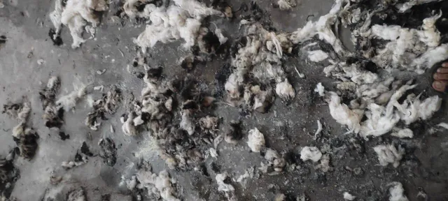 କପା ମିଲ୍‌ରେ ସଟ୍‌ସର୍କିଟ୍‌ ଯୋଗୁଁ ଲାଗିଲା ନିଆଁ; ଅଳ୍ପକେ ବର୍ତ୍ତିଲେ ଶ୍ରମିକ