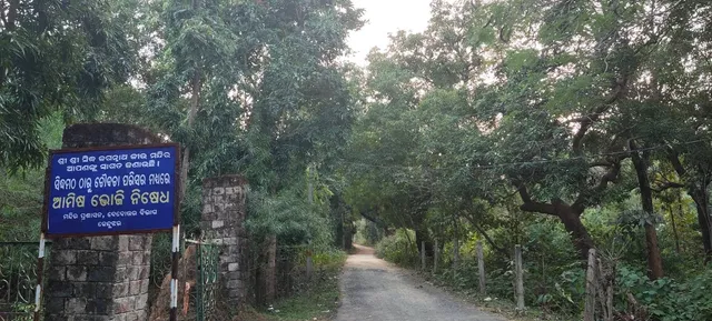 କେନ୍ଦୁଝର: ବିଲୁପ୍ତ ପଥରେ ଔଷଧୀୟ ବୃକ୍ଷରାଜି