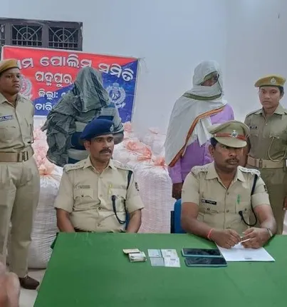 ଅନ୍ତଃରାଜ୍ୟ ଗଂଜେଇ ଚାଲାଣର ପର୍ଦାଫାସ: ନଡ଼ିଆ ବୋଝେଇ ଟ୍ରକ୍‌ରୁ ୧୩୬୫ କିଲୋ ଗଂଜେଇ ଜବତ, ୨ ଗିରଫ