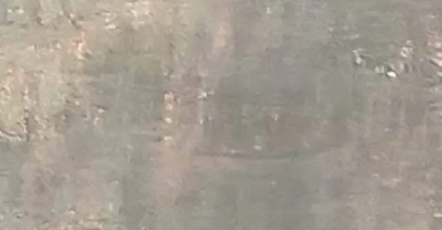 ମାଛ ଧରିବା ହେଲା କାଳ, ୪ ଦିନ ପରେ କାରୋନଦୀରୁ ମିଳିଲା ଯୁବକର ମୃତଦେହ