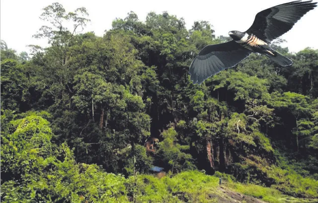 ଗୁପ୍ତେଶ୍ବର ଓ ଧୋନ୍ଦ୍ରାଖୋଲ: ଚତୁର୍ଥ ଜୈବବିବିଧ ଐତିହ୍ୟସ୍ଥଳ