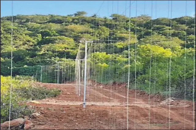 ହାତୀଙ୍କୁ ରୋକିବ ଝୁଲନ୍ତା ସୌର ବାଡ଼: ଭରତପୁର ଜଙ୍ଗଲରେ ୧,୧୦୦ ମିଟର ବାଡ଼ ଲାଗିଲା