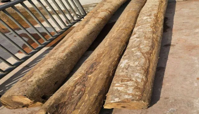 ଆଜି ରଥକାଠ ଅନୁକୂଳ