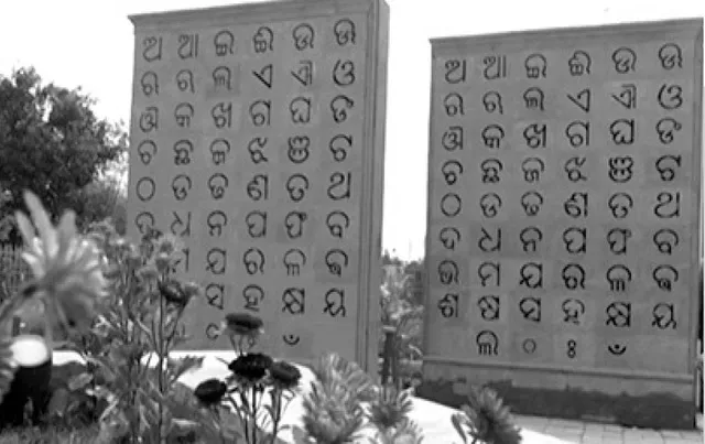 ଚିନ୍ମୟ ଚେତନା: ଭାଷା ଉଦ୍ଧାର