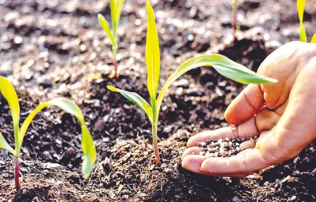 ମୃତ୍ତିକାରେ ପଟାସ୍‌ ହ୍ରାସ ଚିନ୍ତାରେ ସାରା ବିଶ୍ବ